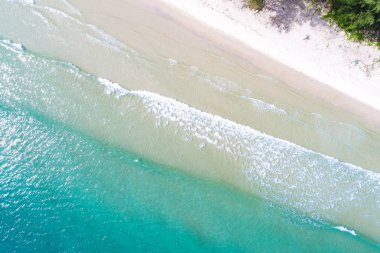 Yeşil ağaç orman beyaz snad plaj ile Tropikal ada