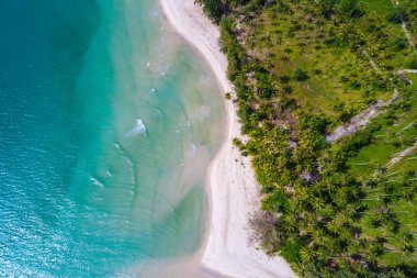 Yeşil ağaç orman beyaz snad plaj ile Tropikal ada