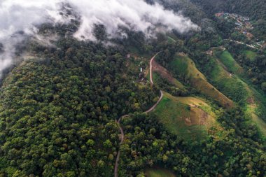 Yayla dağı üzerinde güzel kavisli kırsal yol