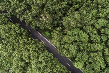 Kırsal yol havadan görünümü ile tropikal yağmur ormanı