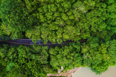 Kırsal yol havadan görünümü ile tropikal yağmur ormanı