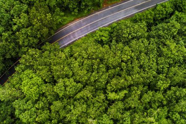 Kırsal yol havadan görünümü ile tropikal yağmur ormanı