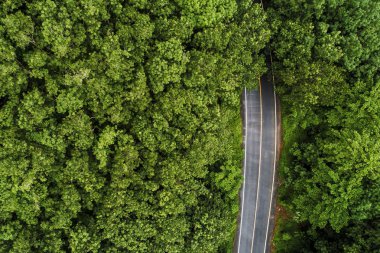 Kırsal yol havadan görünümü ile tropikal yağmur ormanı