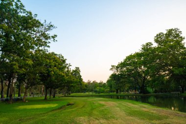 Şehir parkı gün batımında ağaç ile güzel yeşil alan
