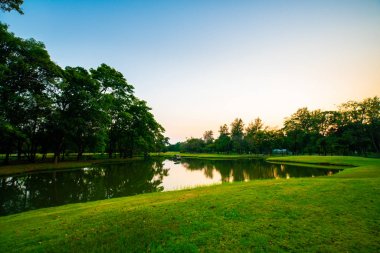 Şehir parkı gün batımında ağaç ile güzel yeşil alan