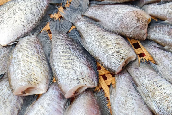 Conservar el pescado sol de sal —  Fotos de Stock