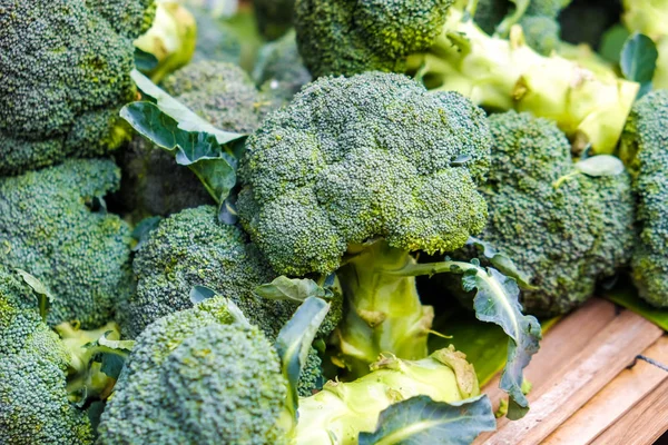 Fresh broccoli raw vitamin food