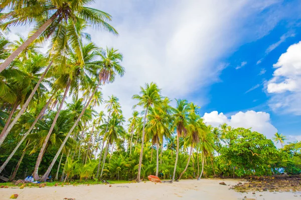 Přírodní krajina rajské tropické pláže s kokosovým stromem — Stock fotografie