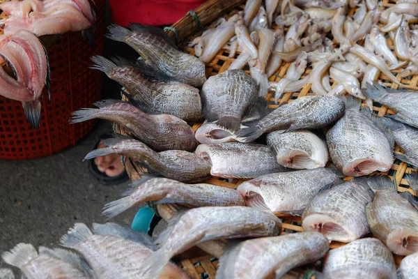 Preservar peixe sol sal — Fotografia de Stock