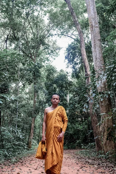 Buddhist monk meditation in tropical forest