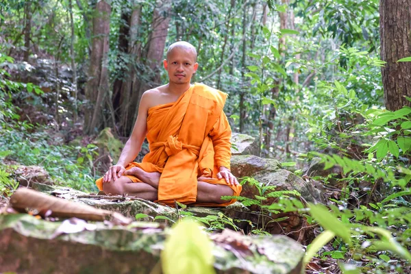 Buddhist monk meditation in tropical forest