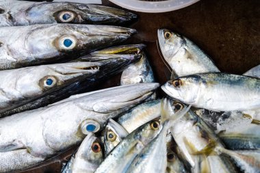 Geleneksel balıkçılık pazarında deniz ürünleri balık satmak