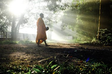 Tropikal ormanda Budist keşiş meditasyonu