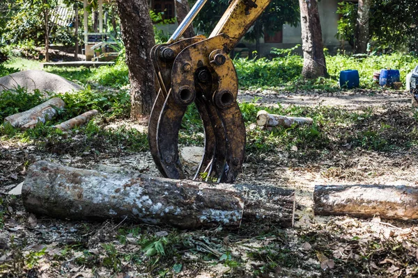 Albero di legno tagliato nella foresta con macchina — Foto Stock