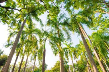 Yeşil Şehir Parkı