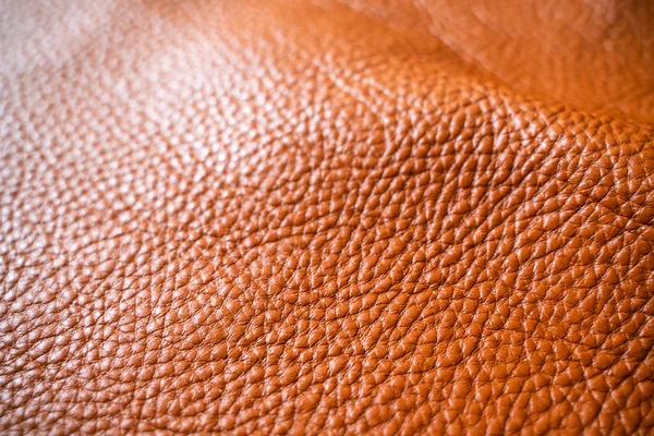 Brown leather skin cow texture background — Stock Photo, Image