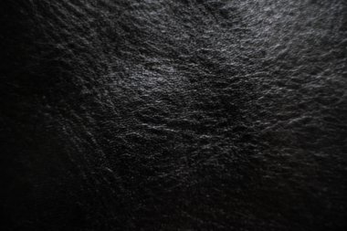 Siyah hakiki derisi doku