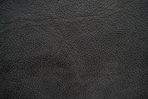 Valódi teljes kiőrlésű fekete tehén bőr textúra — Stock Fotó