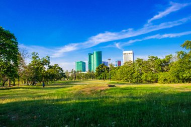 Ağaç ve bina ile Merkez kamu şehir parkı yeşil çayır
