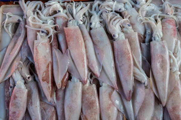 Fresh squid sell in local fishery market — Stock Photo, Image