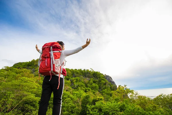 Feliz senderismo mujeres de pie en la cima de la montaña con mochila — Foto de Stock