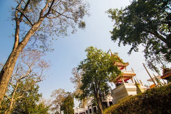 Gran árbol hoja verde contra el cielo azul —  Fotos de Stock