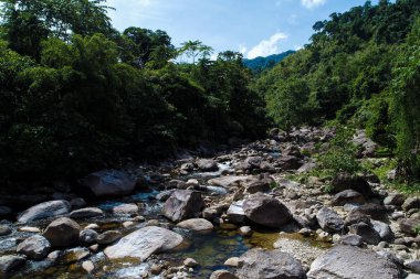Tropikal derin orman yeşil ağaç havadan görünümü şelale