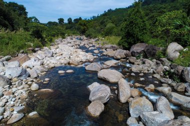 Tropikal derin orman yeşil ağaç havadan görünümü şelale