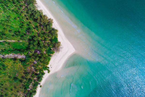 緑の木と航空写真海のビーチ島 — ストック写真