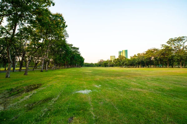 Green city public park with meadow nature landscape