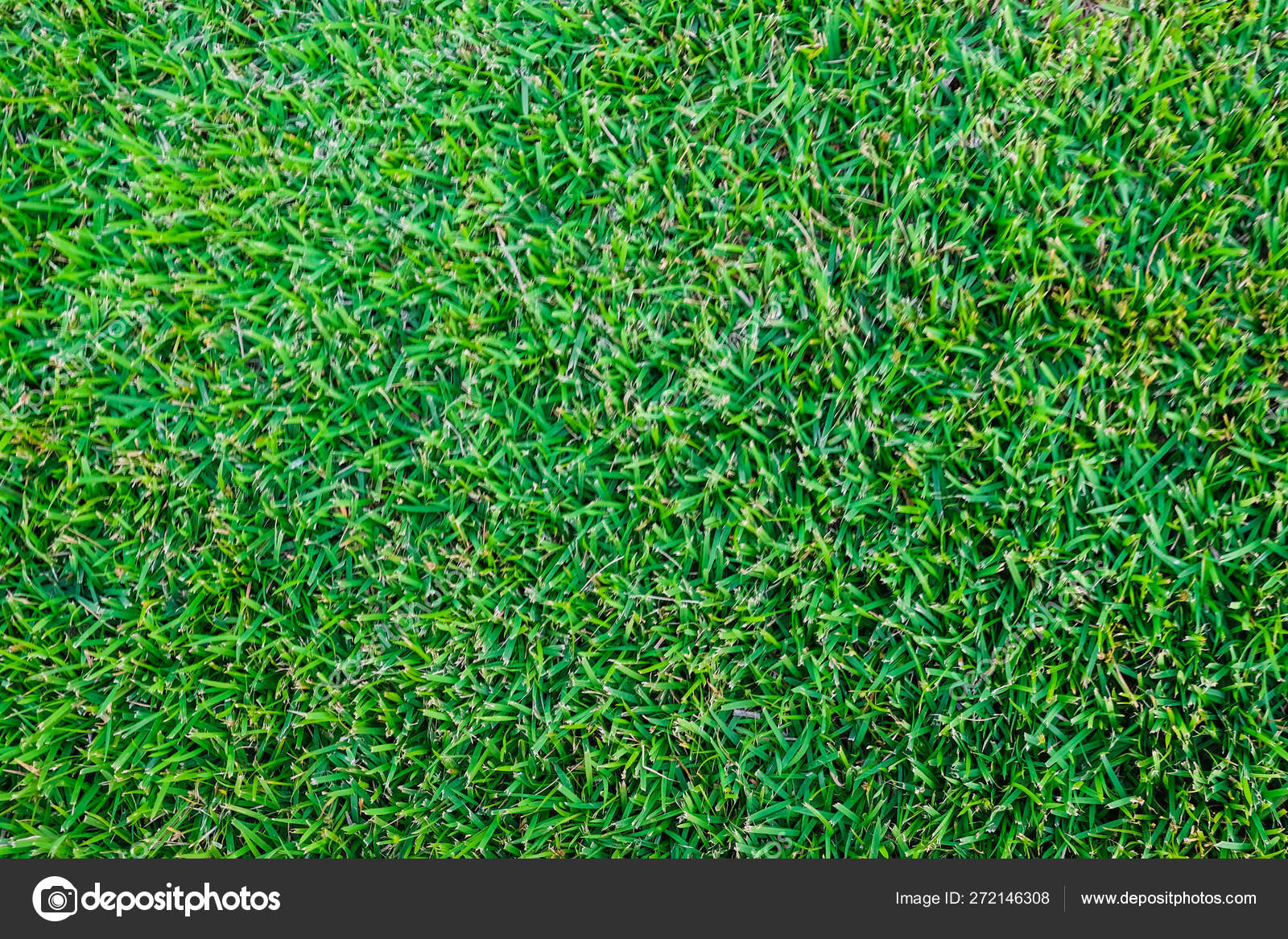 football field grass
