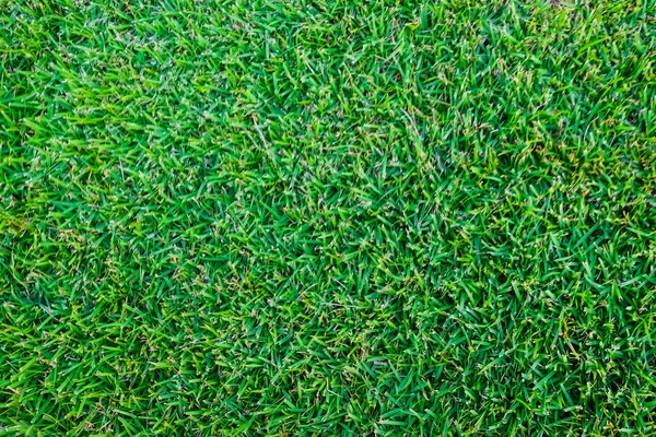 Зеленая свежая трава футбольное поле — стоковое фото