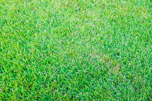 Zelená fotbalová hřiště na trávu — Stock fotografie