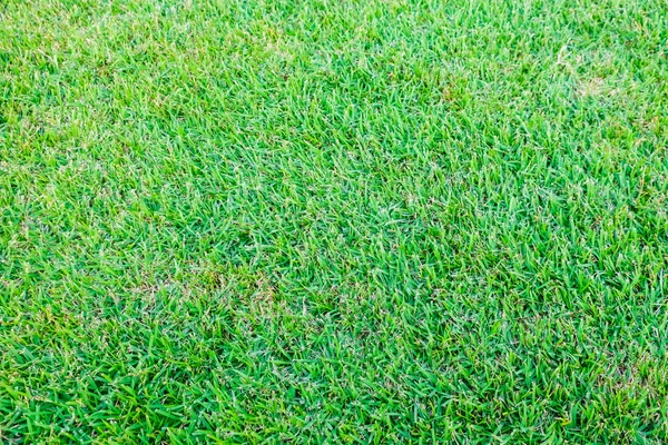 Green fresh grass texture football field — Stock Photo, Image