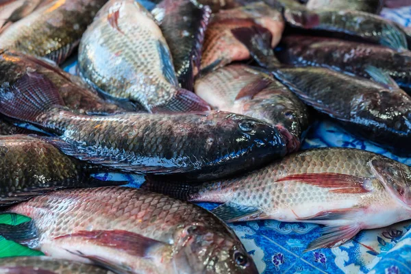 Свіжі морепродукти риби на льоду — стокове фото