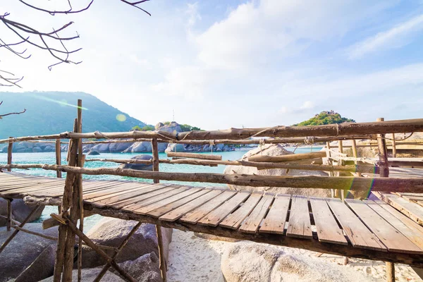 Güneşli deniz plajı woode yürüyüş yolu — Stok fotoğraf