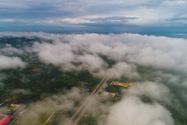 Sabah sis ile Yeşil dağ tropikal yağmur ormanı