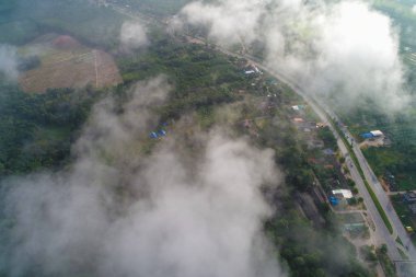 Sabah sis ile Yeşil dağ tropikal yağmur ormanı