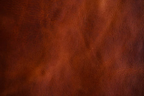 Rödbrunt vegetabiliskt garvat Cartier läder — Stockfoto