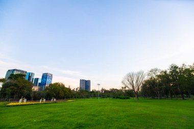 Bulut yeşil çim ve siluet ağacı ile renkli günbatımı gökyüzü