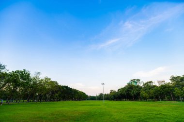 Bulut yeşil çim ve siluet ağacı ile renkli günbatımı gökyüzü