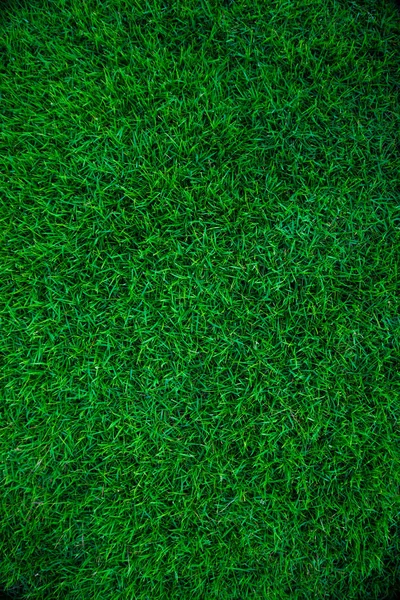 Yeşil çim doğa dokusu — Stok fotoğraf