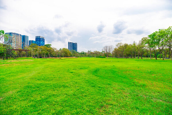 Green city public park with meadow and tree sky cloud nature landscape