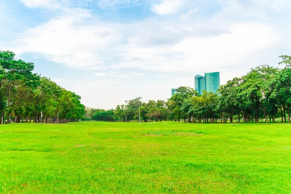 Verde cidade parque público com prado e árvore céu nuvem — Fotografia de Stock