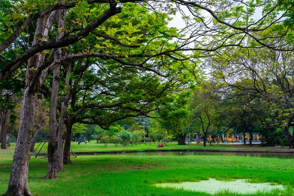 Verde cidade parque público com prado e árvore céu nuvem — Fotografia de Stock