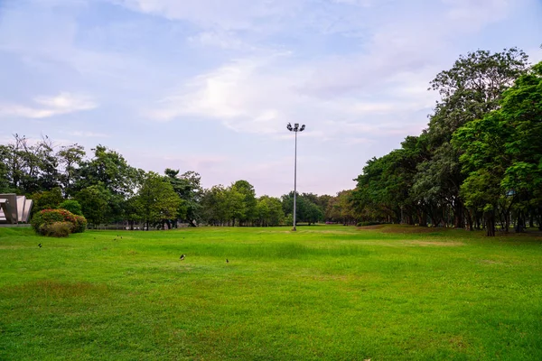 Green City Public Park med äng och träd himmel moln — Stockfoto