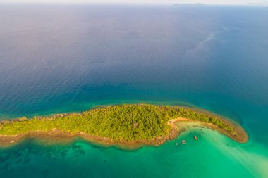 Yeşil palmiye ağacı ada turkuaz su