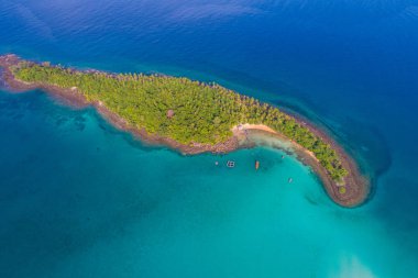 Yeşil palmiye ağacı ada turkuaz su