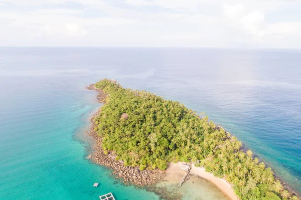 Yeşil palmiye ağacı ada turkuaz su