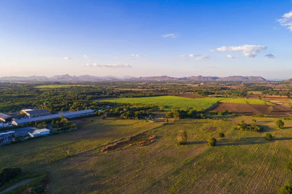 Şeker kamışı ekim alanı havadan görünümü